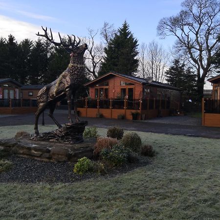 12 Burnside Lodge Auchterarder Esterno foto