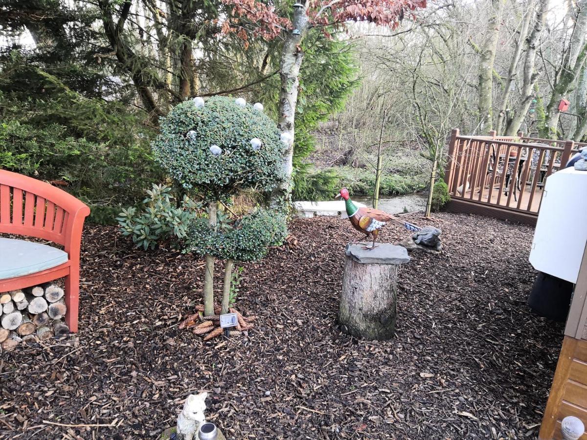 12 Burnside Lodge Auchterarder Esterno foto